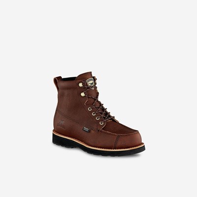 Bottes Chasse Irish Setter Wingshooter Homme Marron | 2067139-PK