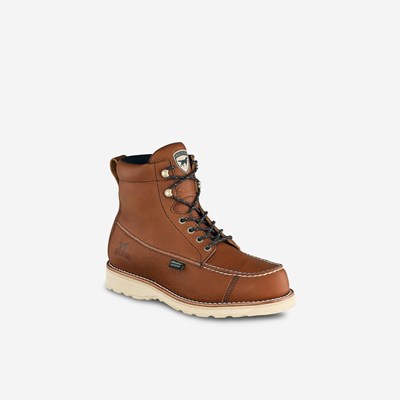 Bottes Chasse Irish Setter Wingshooter Homme Marron | 3729506-EM