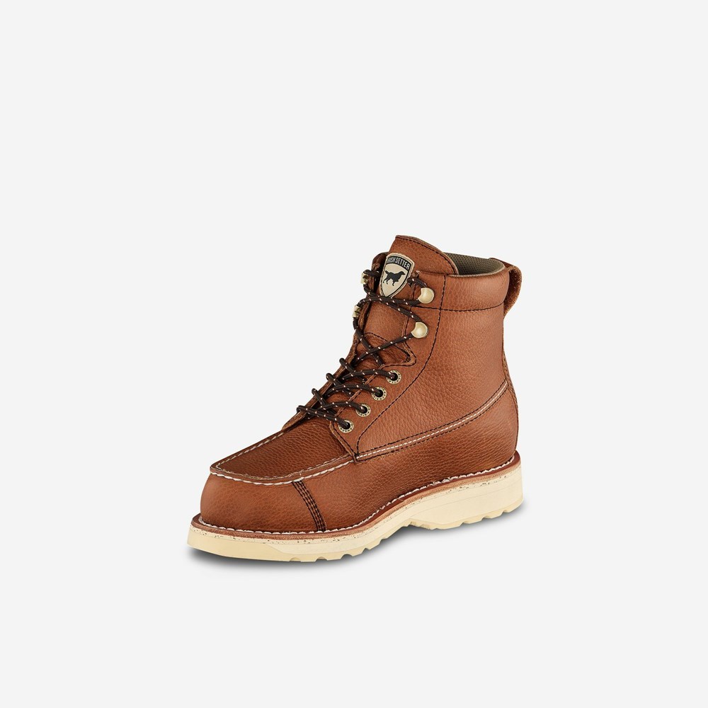 Bottes Chasse Irish Setter Wingshooter Homme Chocolat | 1580437-XW