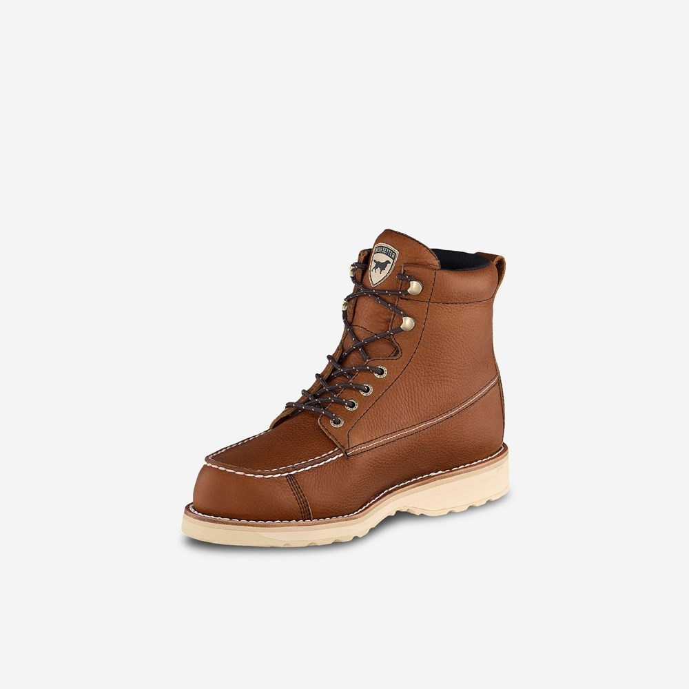 Bottes Chasse Irish Setter Wingshooter Homme Marron | 3729506-EM