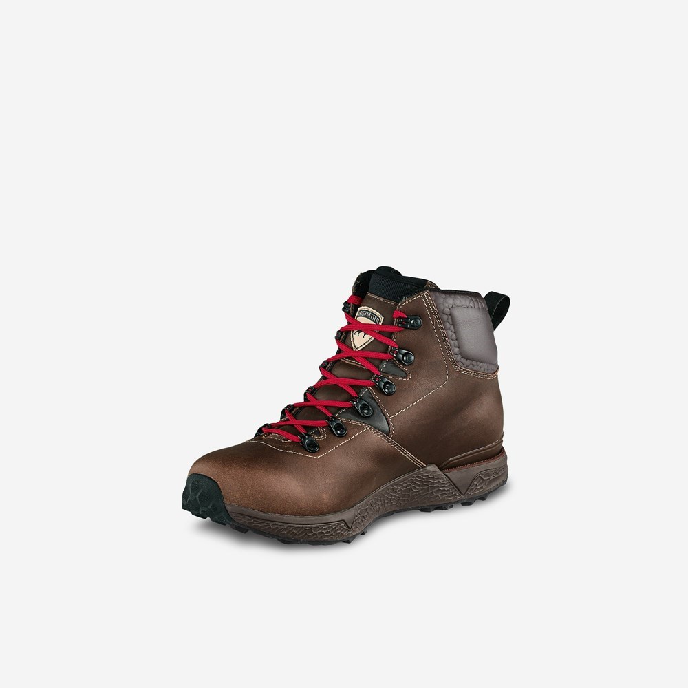 Bottes Randonnée Irish Setter Canyons Homme Marron | 7890413-BK