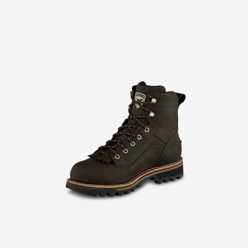 Bottes Randonnée Irish Setter Trailblazer Homme Marron | 8746952-MS