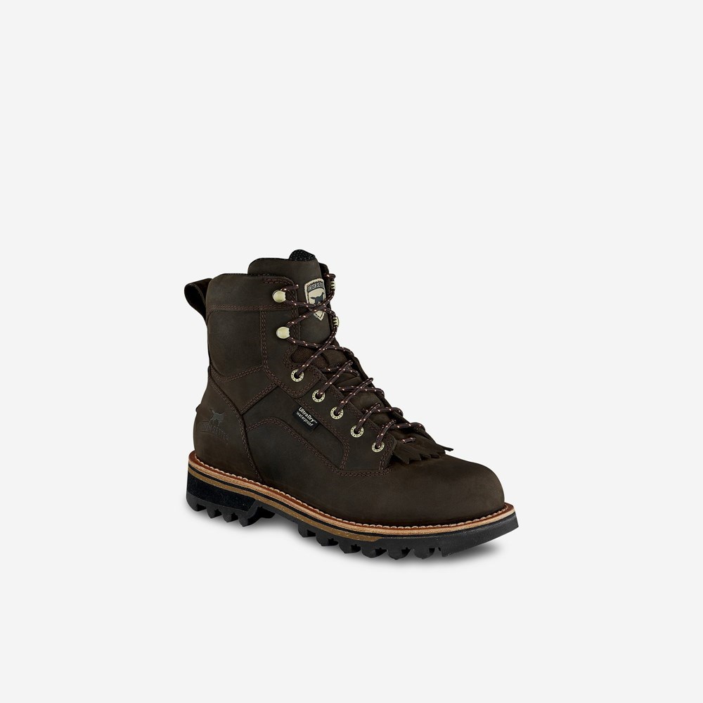 Bottes Randonnée Irish Setter Trailblazer Homme Marron | 8746952-MS